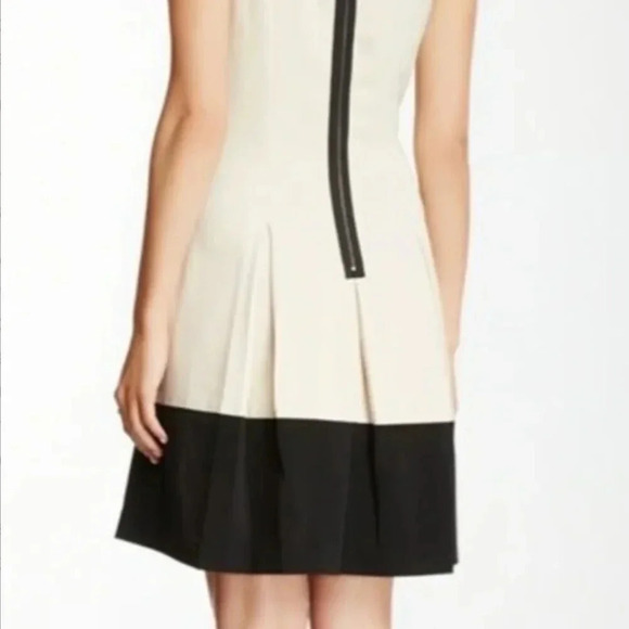 Kensie Cream and Black Pleated Mini Dress - Picture 3 of 9